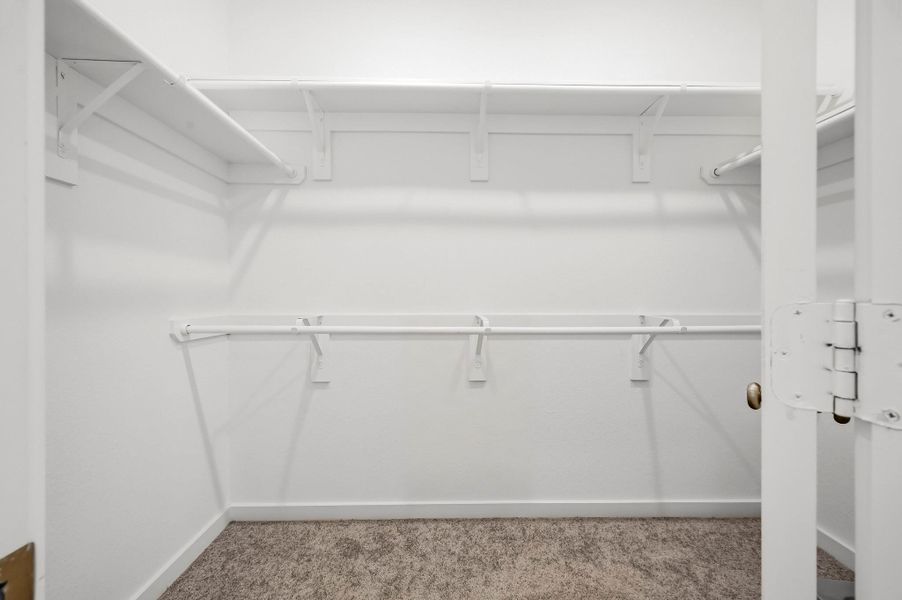 Spacious, unfurnished interior of a new home in Meridiana, Iowa Colony (Image 26).