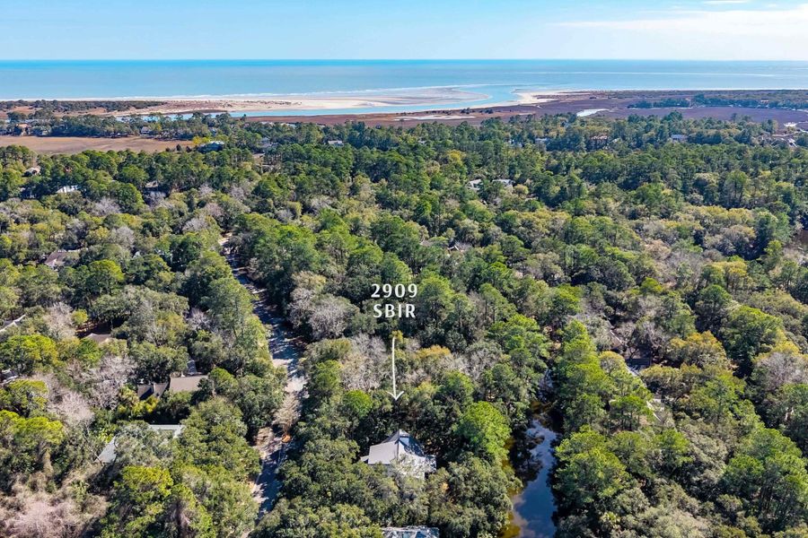 Natural landscape and outdoor views near  in Seabrook Island (Image 51).