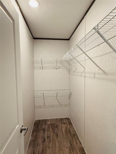 Walk in closet featuring wood finished floors