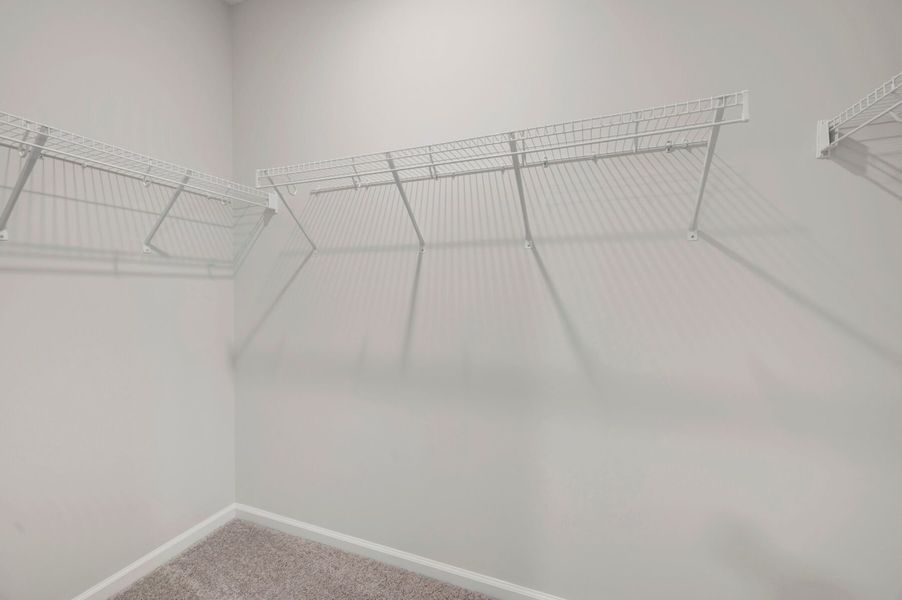 Owner's Closet
