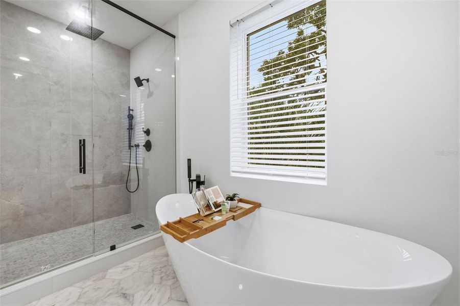 Furnished interior view inside a new home in , Tampa (Image 4).