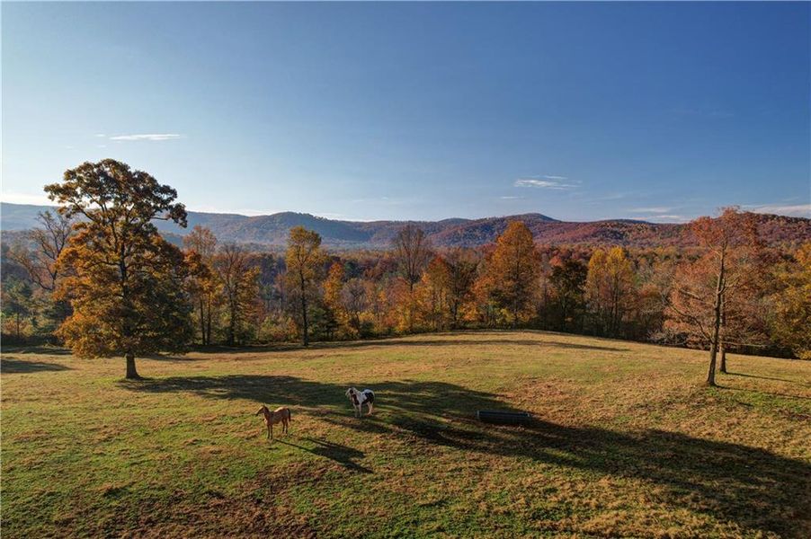 Natural landscape and outdoor views near in Ellijay (Image 136). Natural landscape and outdoor views near in Ellijay (Image 136).