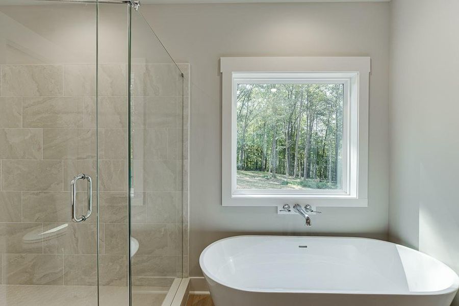 Furnished interior view inside a new home in , Jefferson (Image 10).