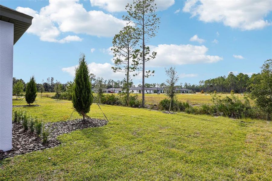 Exterior details and patio area of a home in , Ormond Beach (Image 4).