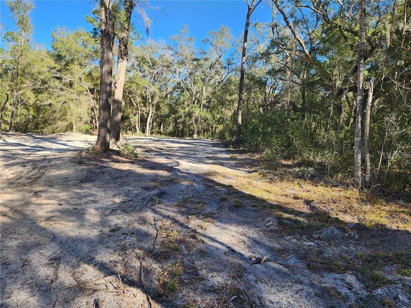 Natural landscape and outdoor views near  in Dunnellon (Image 24).