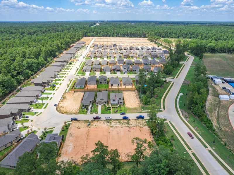 Image 11 of a home in The Pines At Seven Coves.