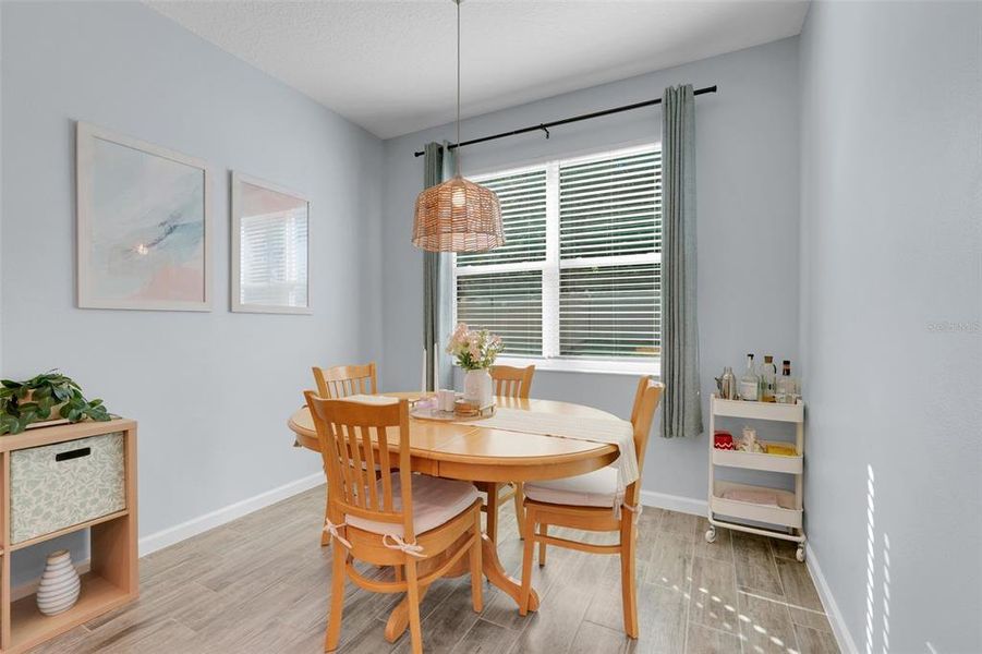 Furnished interior view inside a new home in Summerbrooke, Mount Dora (Image 10).