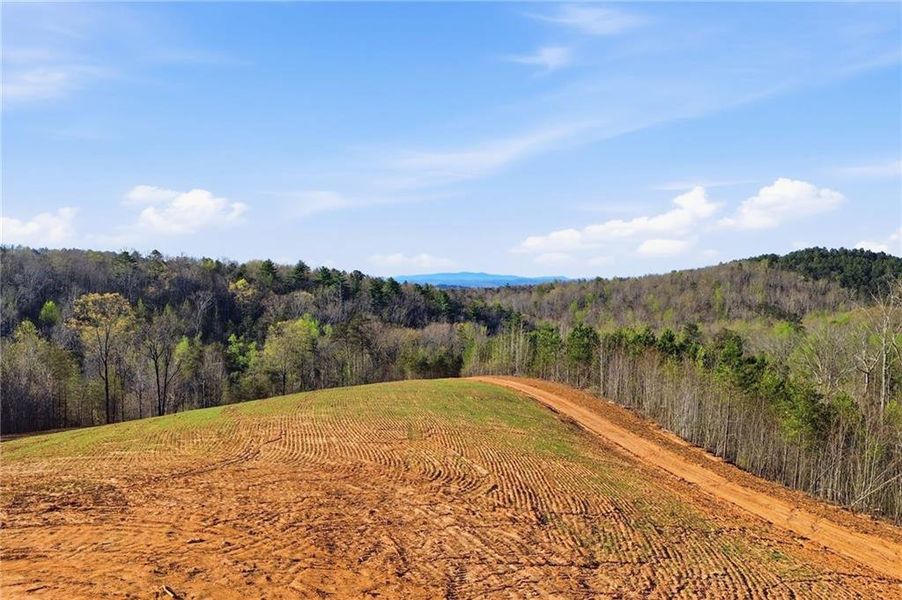 Natural landscape and outdoor views near  in Ellijay (Image 20).