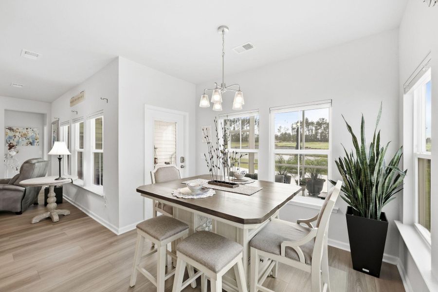 Furnished interior view inside a new home in Horizons at Summers Corner | 55+, Summerville (Image 6).