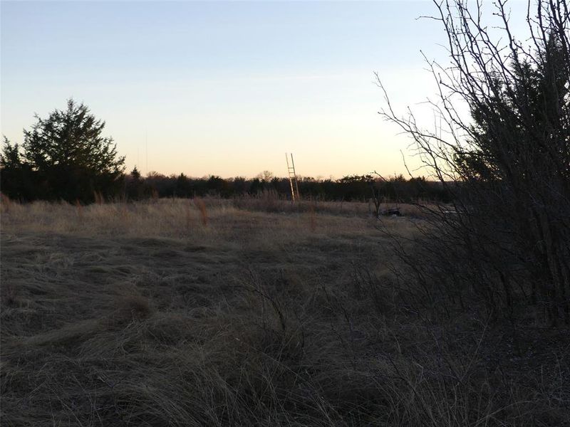 Natural landscape and outdoor views near  in Forestburg (Image 22).