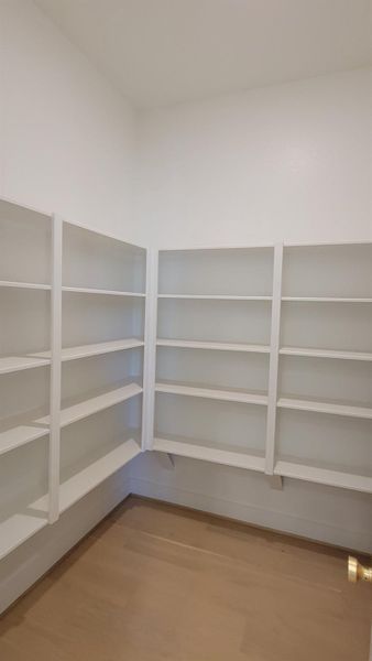 Large Walkin Pantry.