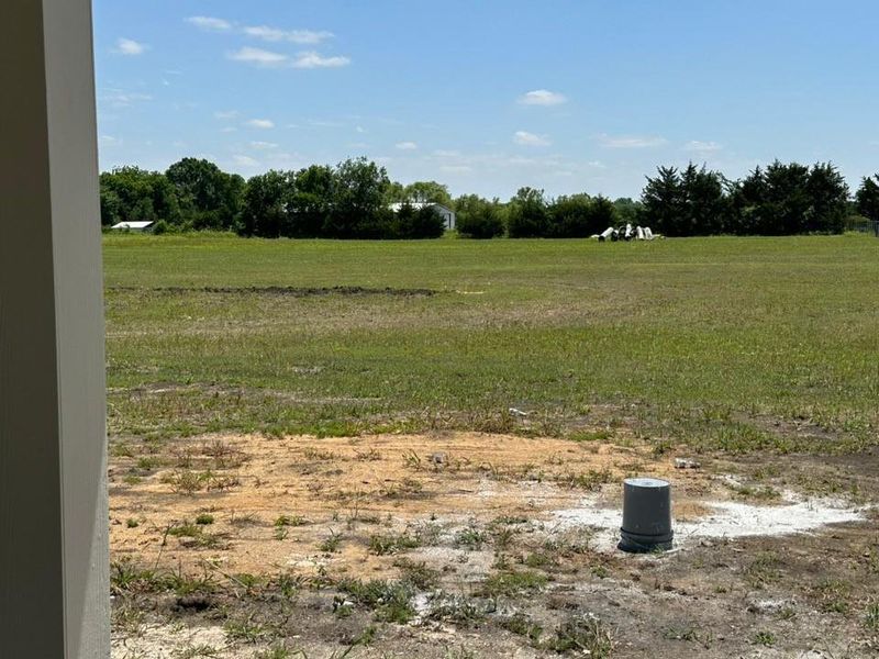 Expansive outdoor space featuring a large grassy area, distant tree line, clear blue sky, and natural ground cover