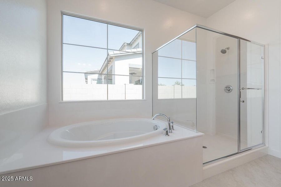 Tri Pointe Waterston Central 388 - Prima