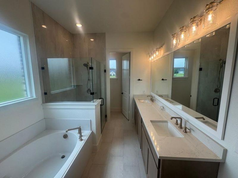 Bathroom featuring a dual vanity with undermount sinks, a soaking tub, a glass-enclosed shower, wood-finish flooring, and ample natural light