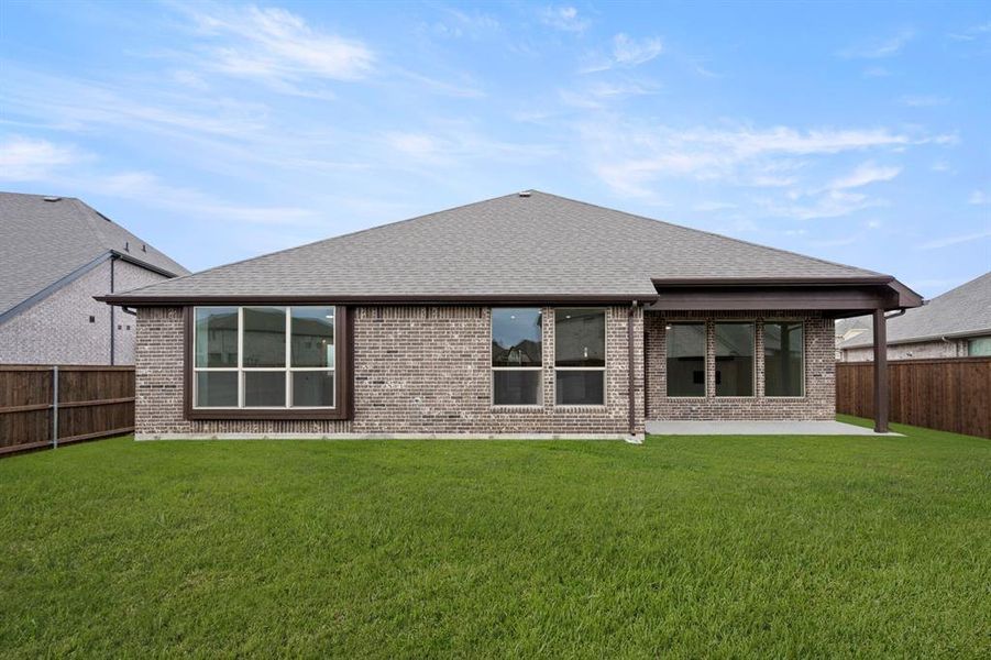 7808 Barley Field- Back-3 7808 Barley Field- Back-3