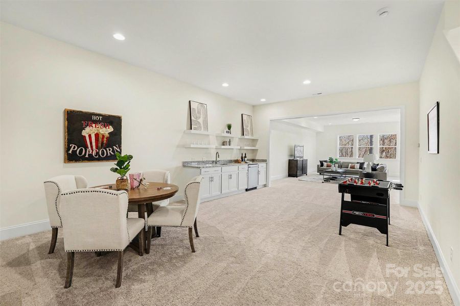 Basement mini kitchen area overlooking living area