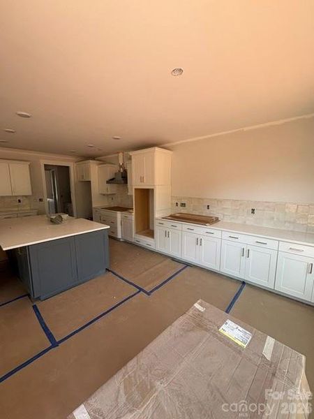 Construction progress of homesite 419