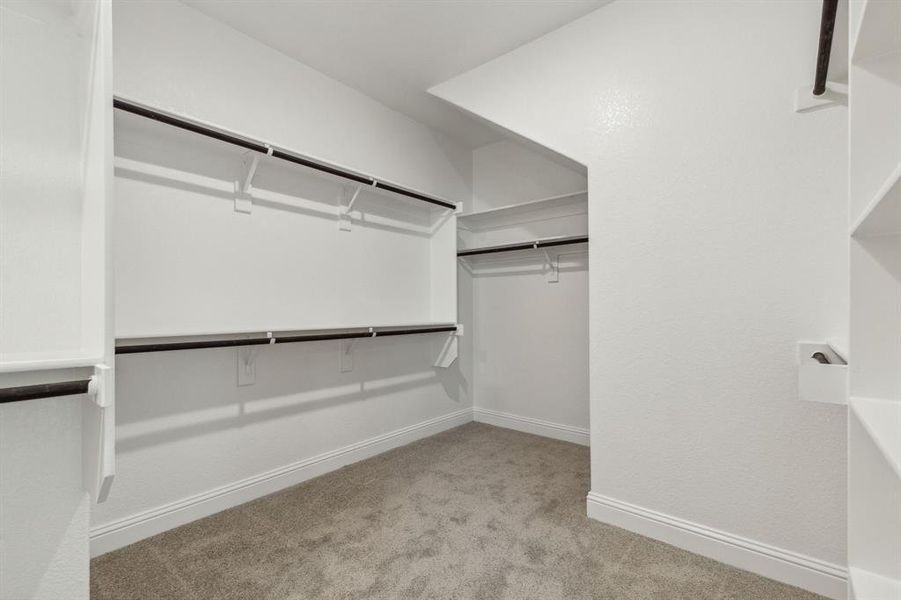 Spacious closet featuring light colored carpet