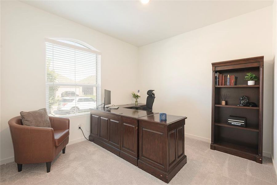 Bright room featuring a large arched window with horizontal blinds, light neutral-toned walls, and soft carpet flooring Bright room featuring a large arched window with horizontal blinds, light neutral-toned walls, and soft carpet flooring