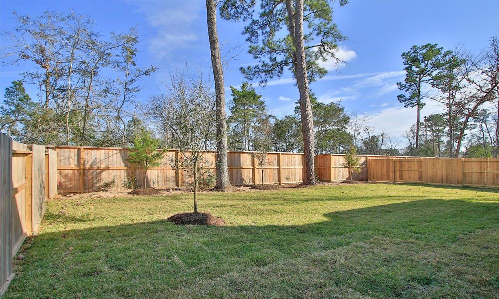 Exterior details and patio area of a home in The Woodlands Hills, Willis (Image 21).