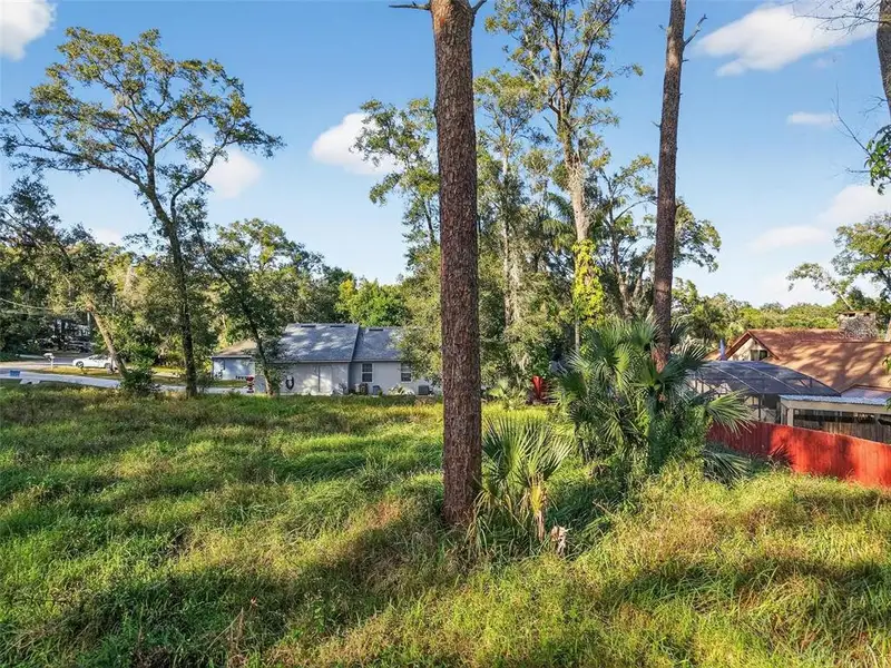 Natural landscape and outdoor views near in Mount Plymouth (Image 26). Natural landscape and outdoor views near in Mount Plymouth (Image 26).