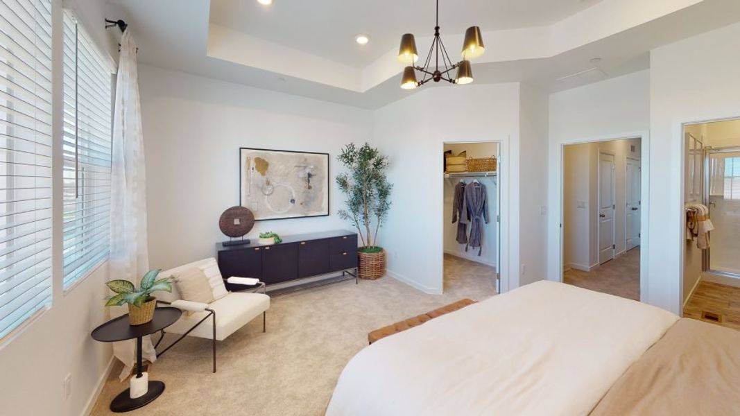 Plan 301 owners suite