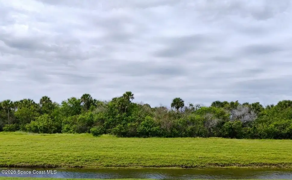 Natural landscape and outdoor views near St. John's Preserve in Palm Bay (Image 14). Natural landscape and outdoor views near St. John's Preserve in Palm Bay (Image 14).