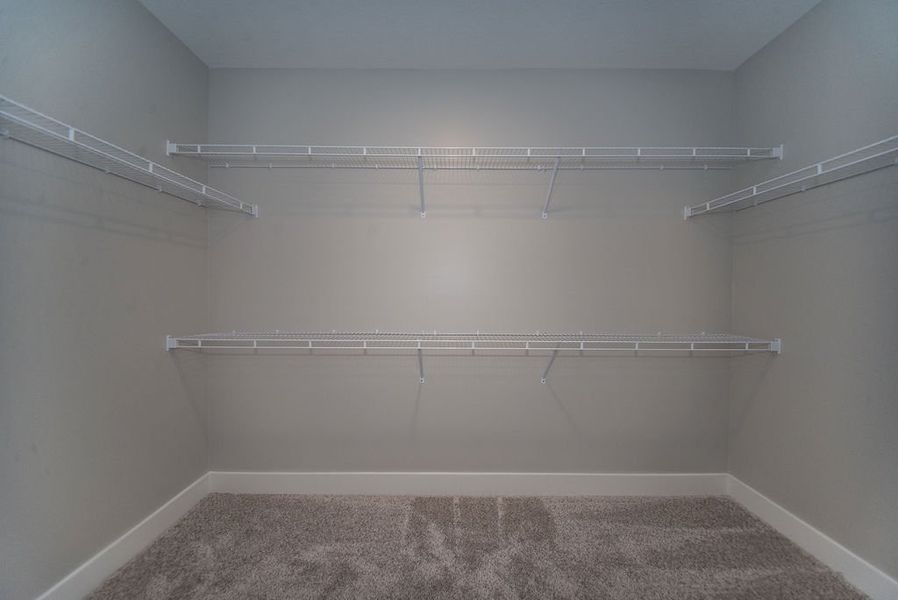 Representative unfurnished interior of a home built from the Beaumont Elite by Enchanted Homes in Pointe Summit, Slater-Marietta (Image 60).