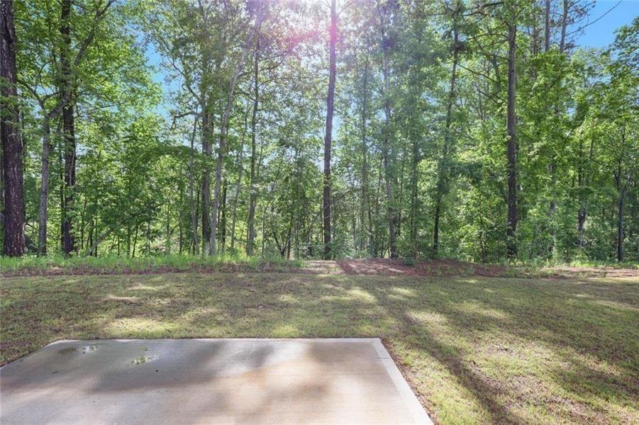 Natural landscape and outdoor views near Bryson Lake in Douglasville (Image 43).