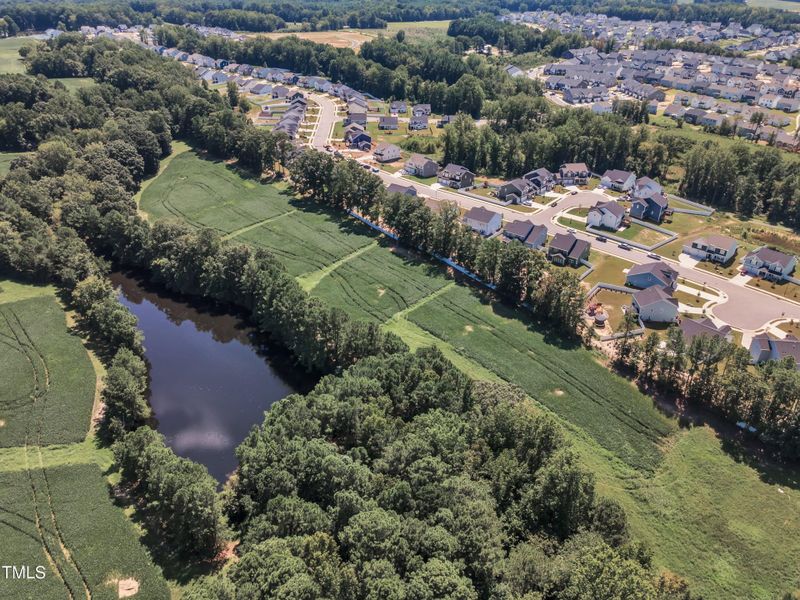 49-1301 Rose Finch-10