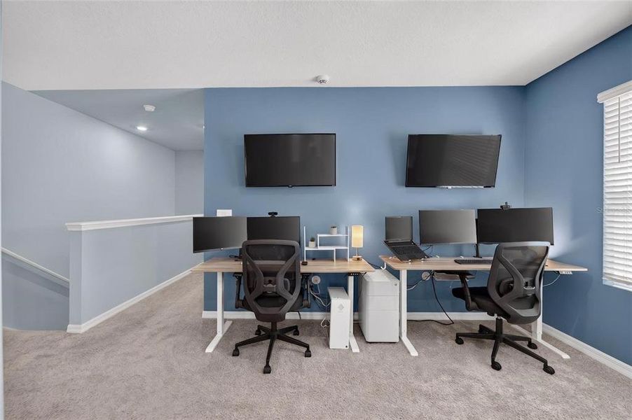 Furnished interior view inside a new home in Mangrove Point, Apollo Beach (Image 42).