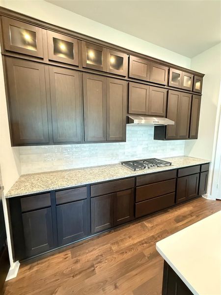 This home features upgraded upper cabinets with glass and lighting. Not shown are the hidden outlets that are under the cabinets.