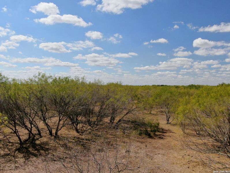 Natural landscape and outdoor views near  in Stockdale (Image 7).