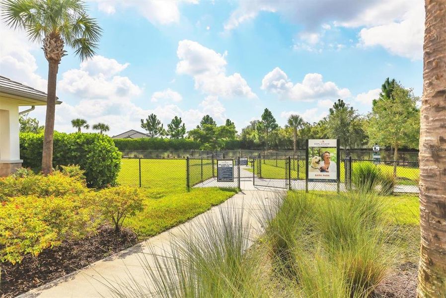 Community amenities in Esplanade at Azario Lakewood Ranch, Bradenton (Image 62). Community amenities in Esplanade at Azario Lakewood Ranch, Bradenton (Image 62).