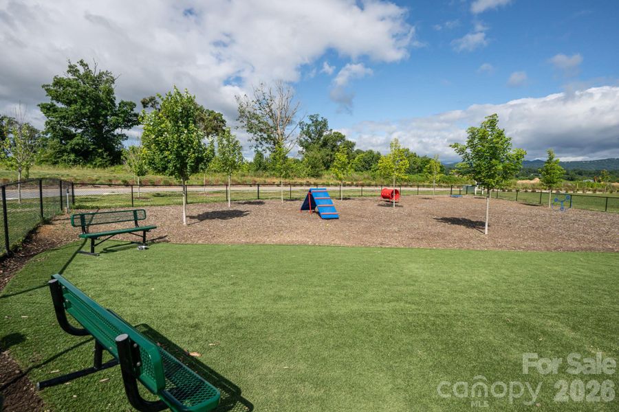 Playground and dog park Playground and dog park