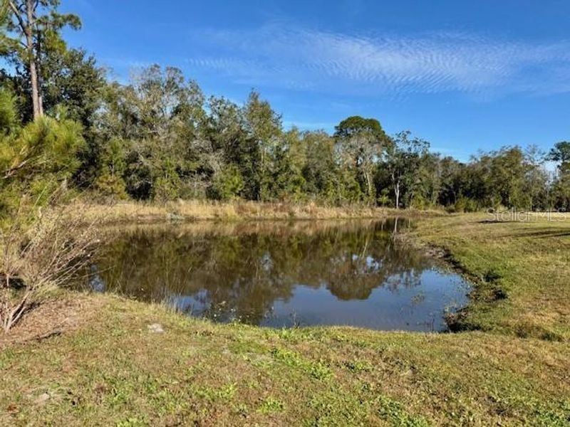 Natural landscape and outdoor views near  in Orlando (Image 11).