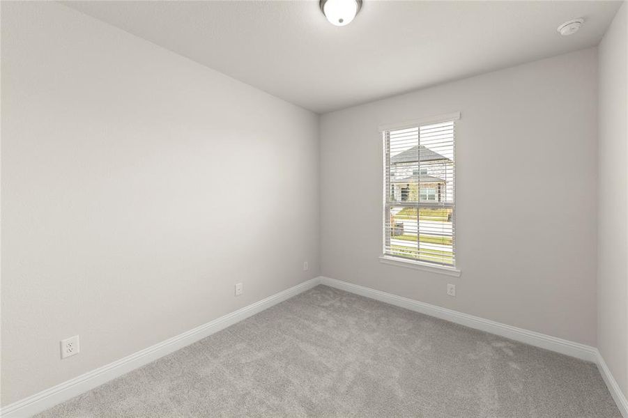 13_1436 Bramante, Celina 13_1436 Bramante, Celina