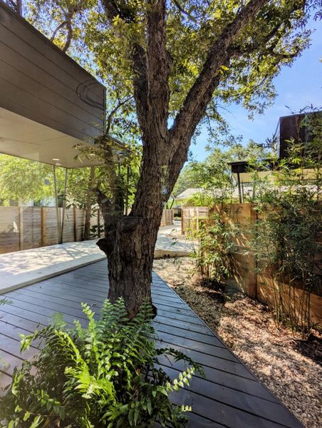 Front exterior of a new home in , Austin, TX, highlighting curb appeal (Image 22). Front exterior of a new home in , Austin, TX, highlighting curb appeal (Image 22).