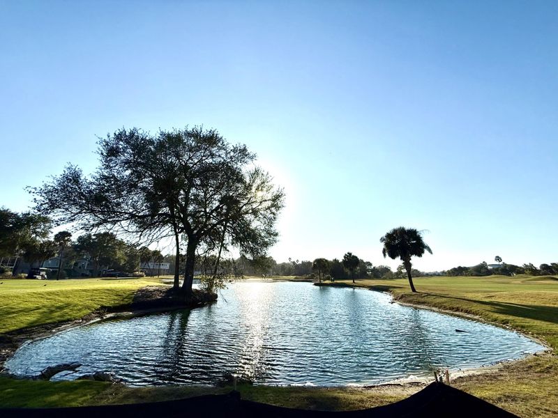 Natural landscape and outdoor views near  in Isle Of Palms (Image 6).