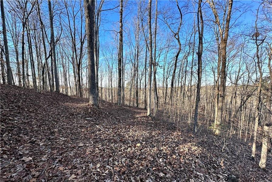 Natural landscape and outdoor views near  in Cumming (Image 14).