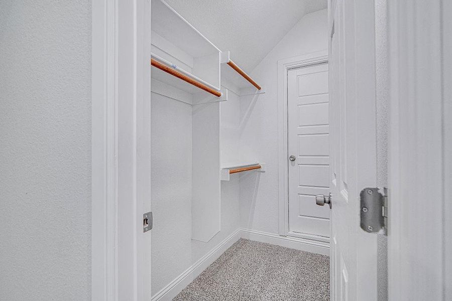 Bedroom 4/Family Room Walk in closet with carpet flooring and vaulted ceiling