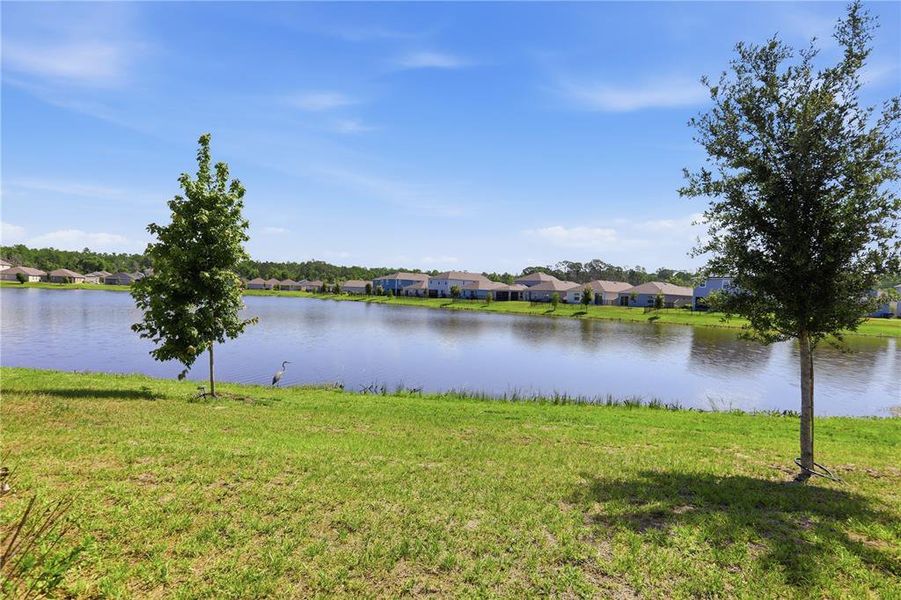 Natural landscape and outdoor views near  in St. Cloud (Image 34).