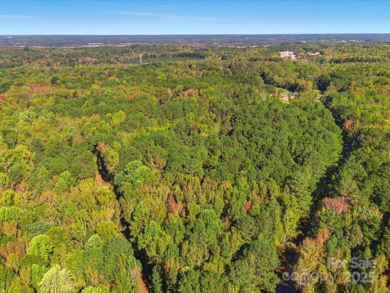 Natural landscape and outdoor views near in Waxhaw (Image 22). Natural landscape and outdoor views near in Waxhaw (Image 22).