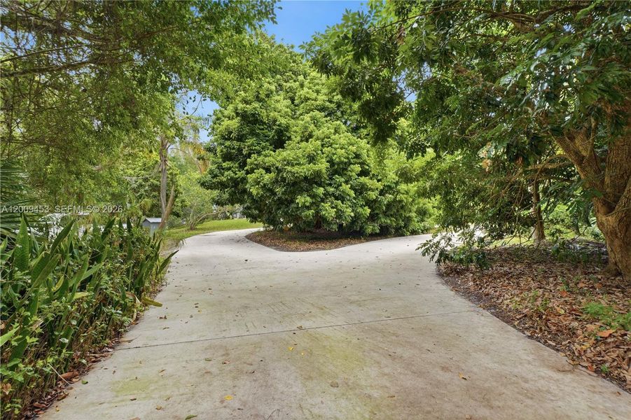 Natural landscape and outdoor views near  in Jupiter (Image 4).