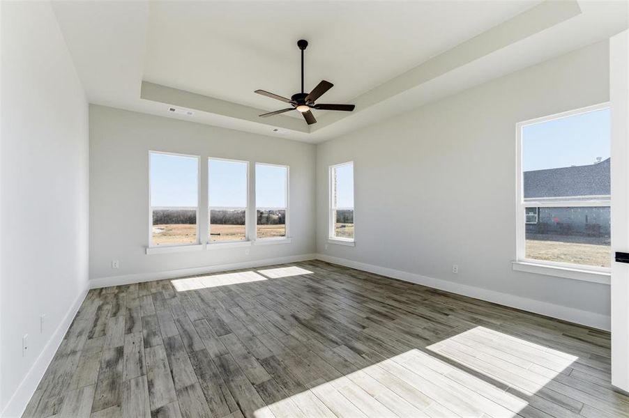 Spare room with a tray ceiling, wood finished floors, and a ceiling fan