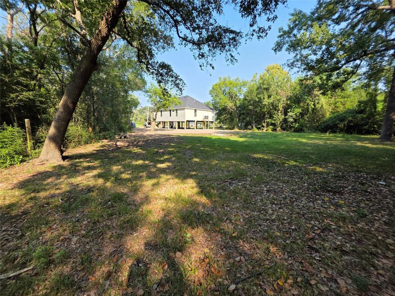 Natural landscape and outdoor views near  in Bridge City (Image 40).