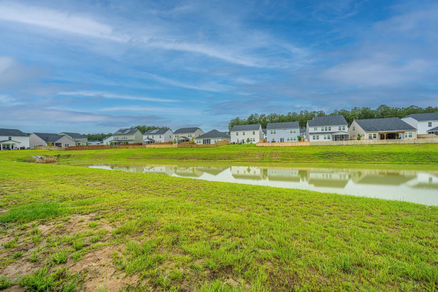 Natural landscape and outdoor views near Cypress Preserve in Moncks Corner (Image 42).