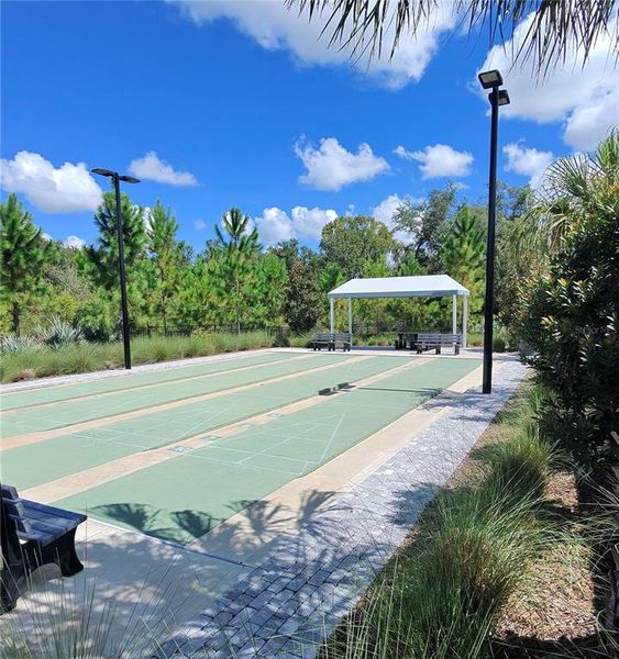 Community amenities in Angeline Active Adult, Land O' Lakes (Image 32).