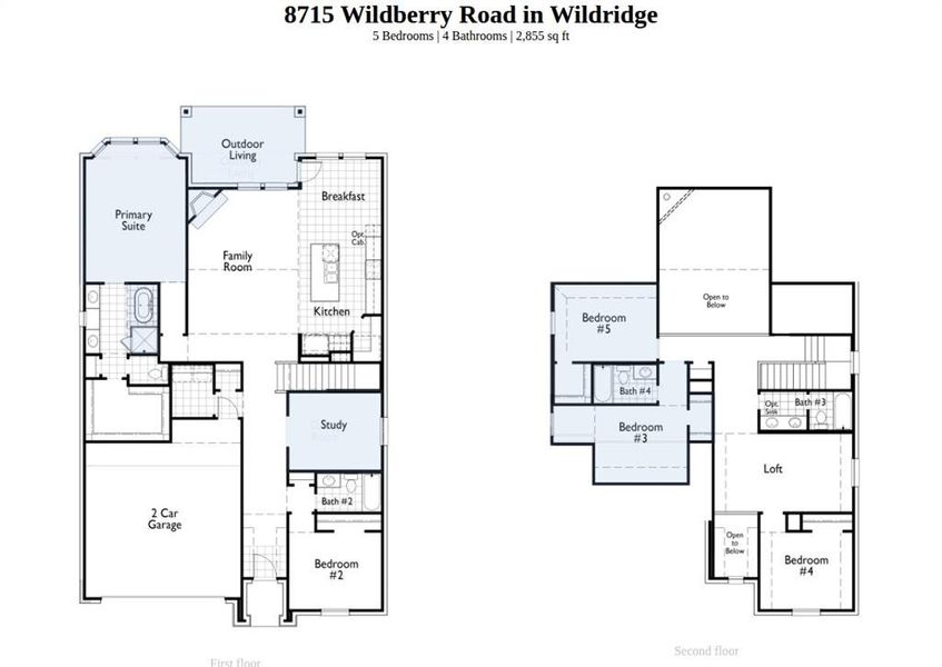 2D floor plan layout of this home in Wildridge, Oak Point, TX (Image 2).