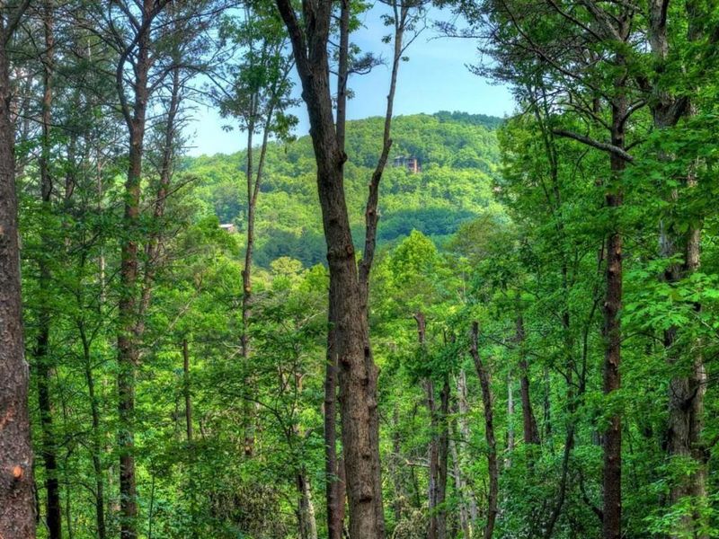 Natural landscape and outdoor views near  in Blue Ridge (Image 46).